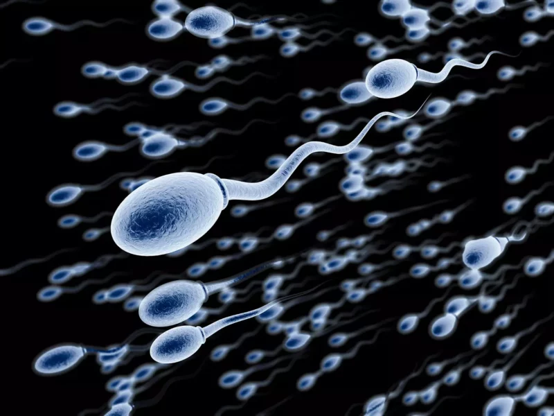 Jakość spermy a wiek